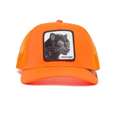 Gorra Goorin Bros Panther (Fosfo), Original
